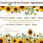 affiche contenant les modalités d'ouverture du lundi de Pentecôte